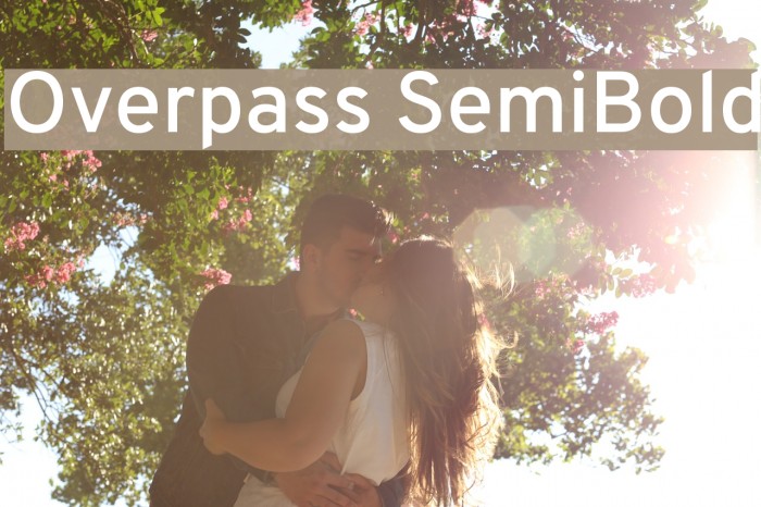 Overpass SemiBold Font examples