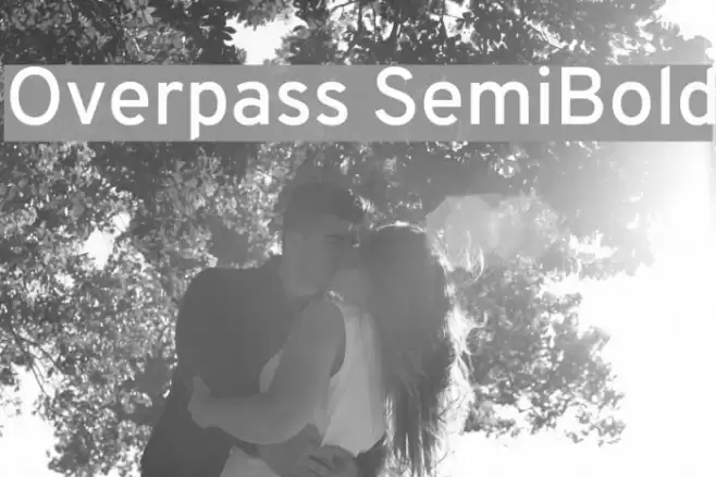 Overpass SemiBold Font examples