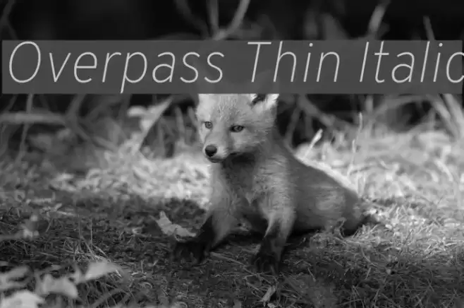Overpass Thin Italic Font examples