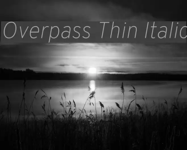 Overpass Thin Italic Font examples