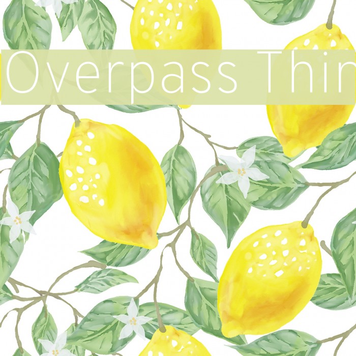 Overpass Thin Font examples