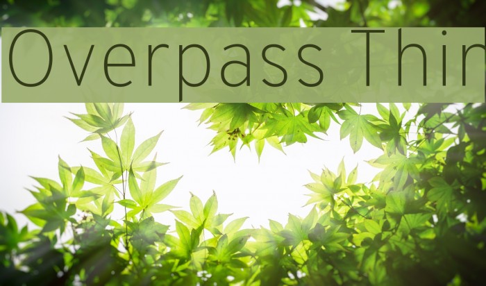 Overpass Thin Font examples