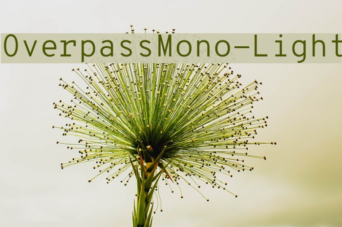 OverpassMono-Light Font examples