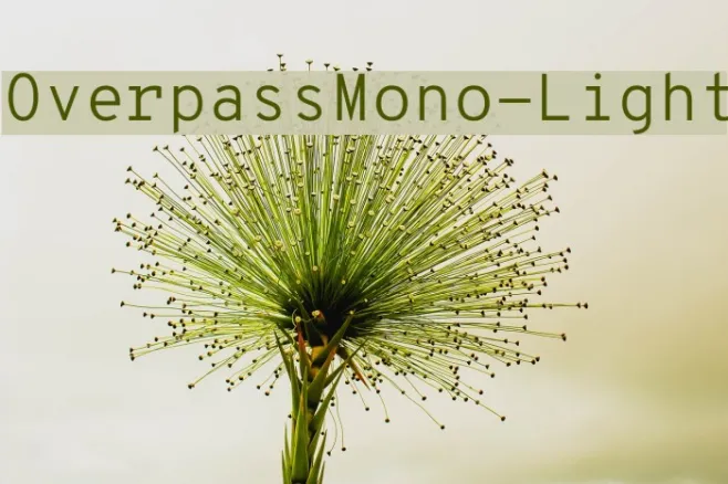 OverpassMono-Light Example 1