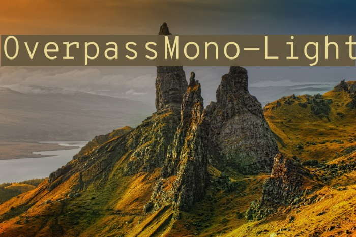 OverpassMono-Light Font examples