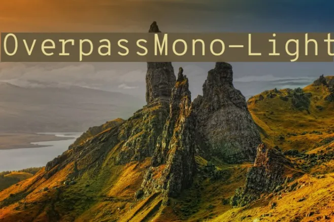 OverpassMono-Light Example 3