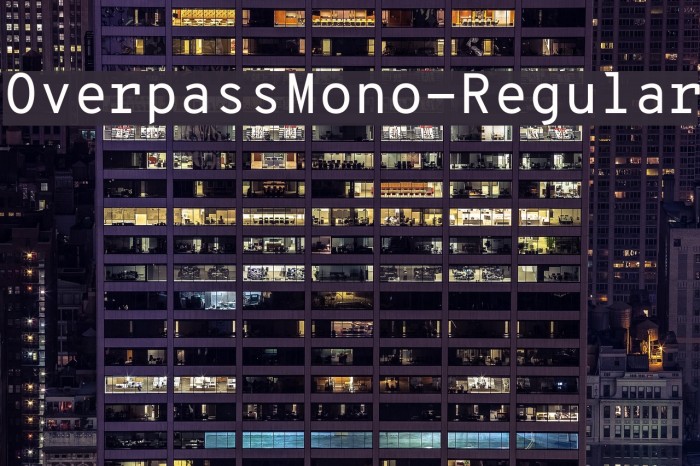 OverpassMono-Regular Example 2