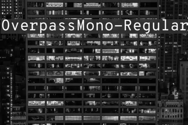 OverpassMono-Regular Font examples