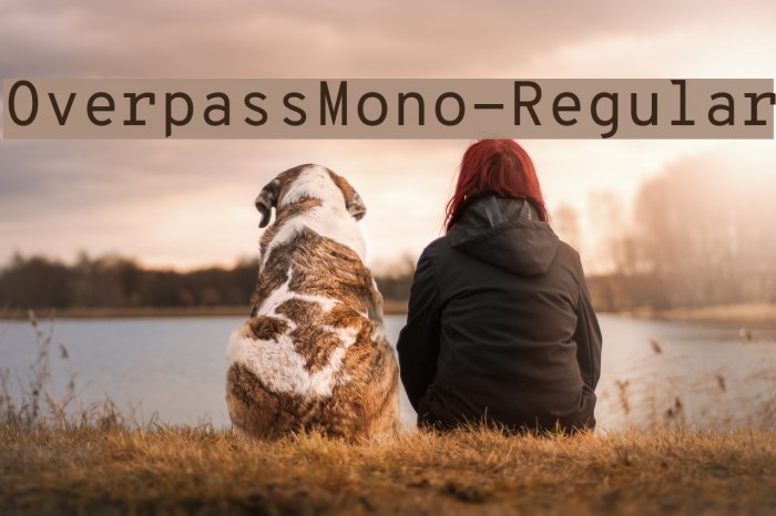 OverpassMono-Regular Example 3
