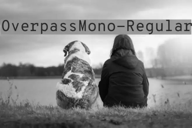 OverpassMono-Regular Font examples