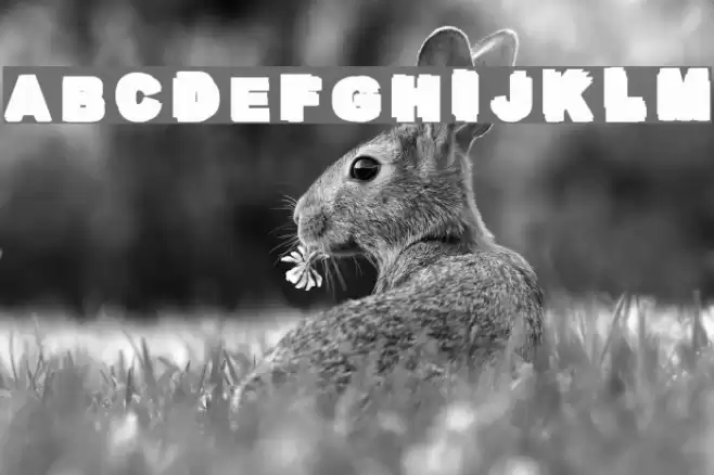 Overprint Black フォント examples