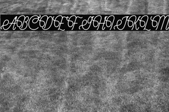 Override Font examples