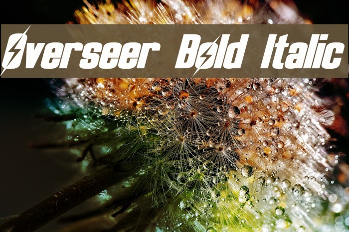 Overseer Bold Italic Fuentes examples