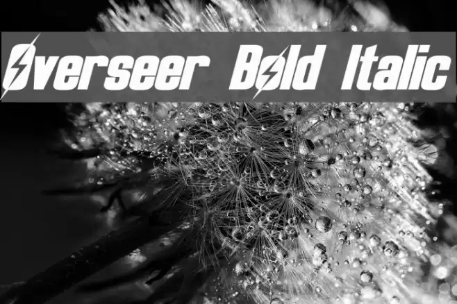 Overseer Bold Italic Fonte examples