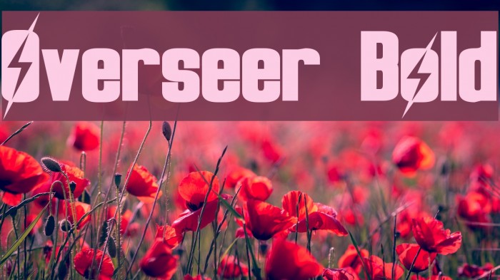 Overseer Bold Font examples