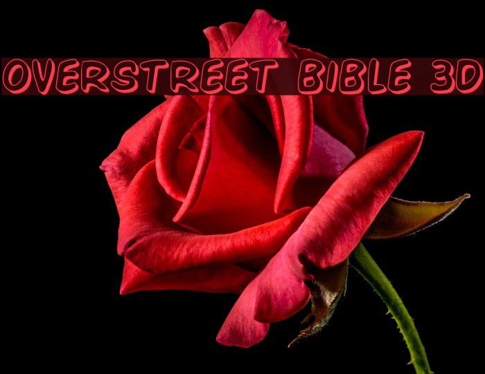 Overstreet Bible 3D Font examples