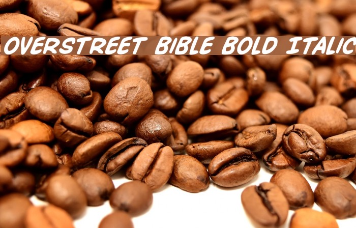 Overstreet Bible Bold Italic Font examples