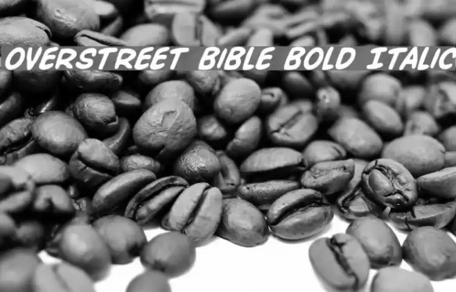 Overstreet Bible Bold Italic Font examples