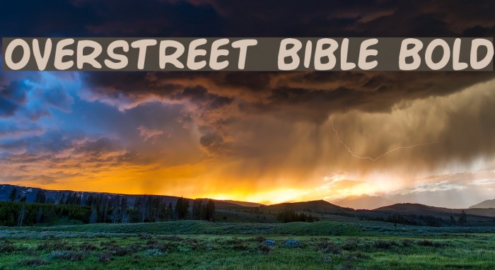 Overstreet Bible Bold Example 2