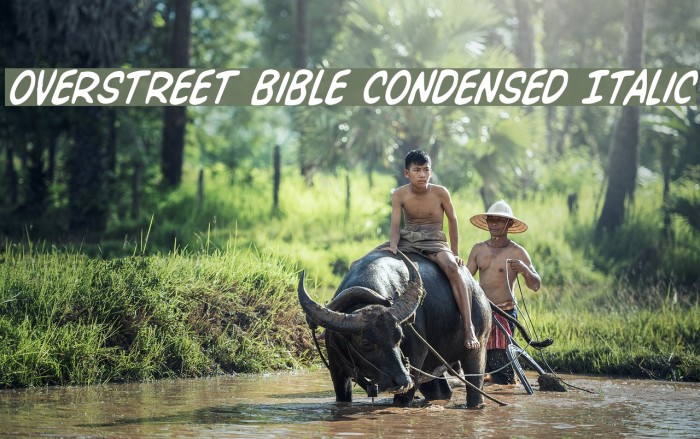 Overstreet Bible Condensed Italic Font examples