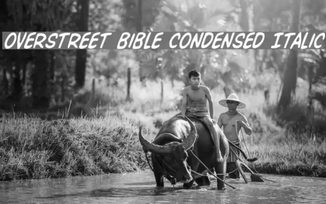 Overstreet Bible Condensed Italic Font examples