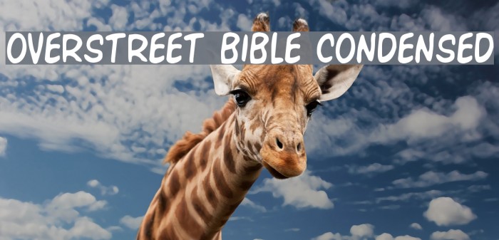 Overstreet Bible Condensed Polices examples