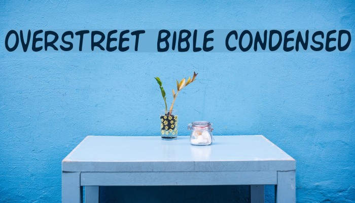 Overstreet Bible Condensed Polices examples
