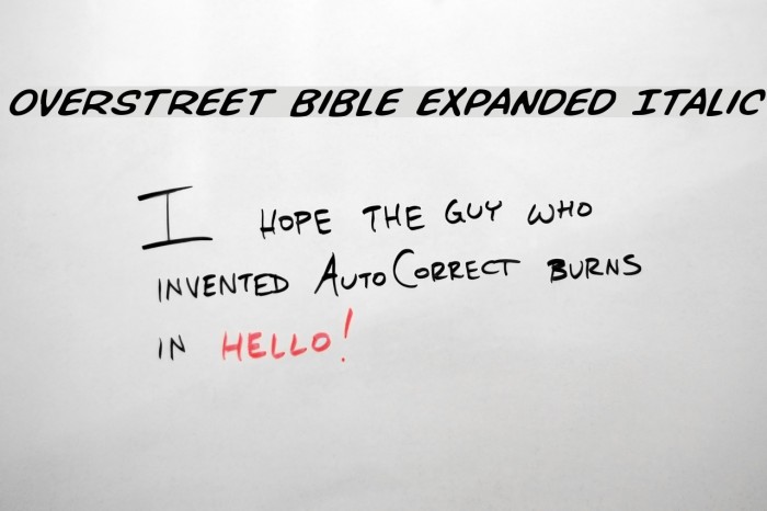 Overstreet Bible Expanded Italic Font examples