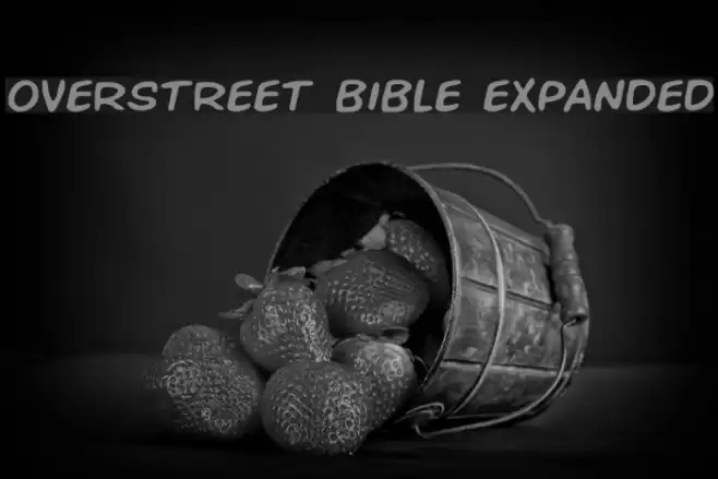 Overstreet Bible Expanded Font examples