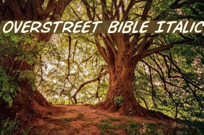 Overstreet Bible Italic Example 2