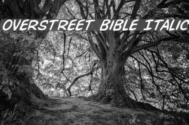 Overstreet Bible Italic Font examples