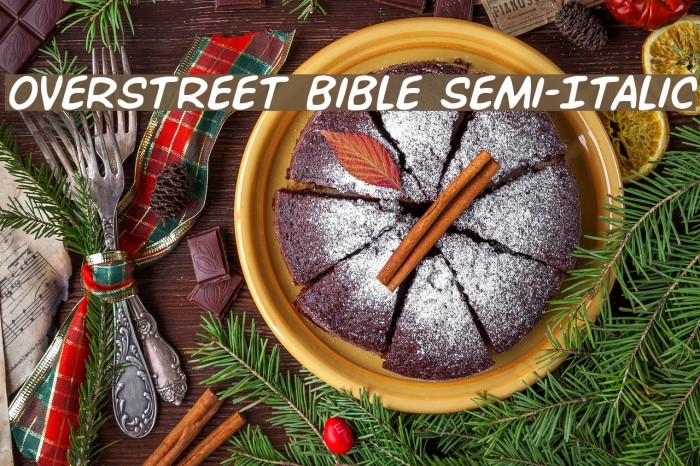 Overstreet Bible Semi-Italic Font examples