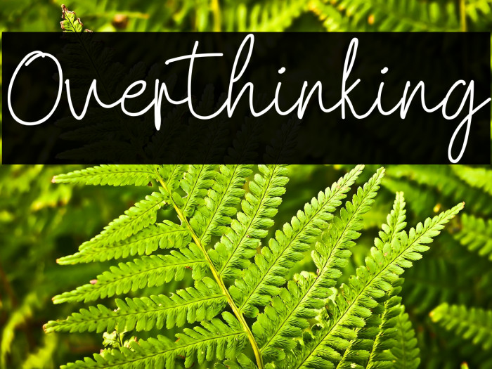 Overthinking Example 1