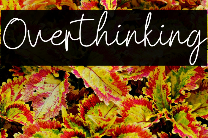 Overthinking Example 2