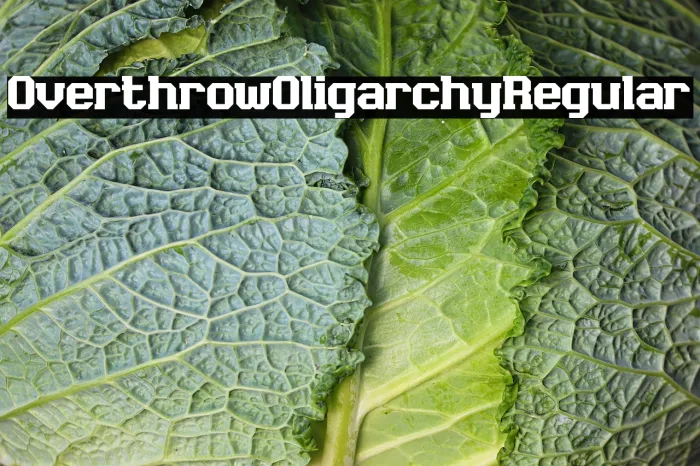 Overthrow Oligarchy Regular Example 1