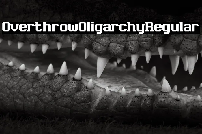 Overthrow Oligarchy Regular Example 2