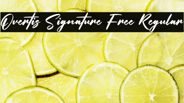 Overtis Signature Free Regular Example 1