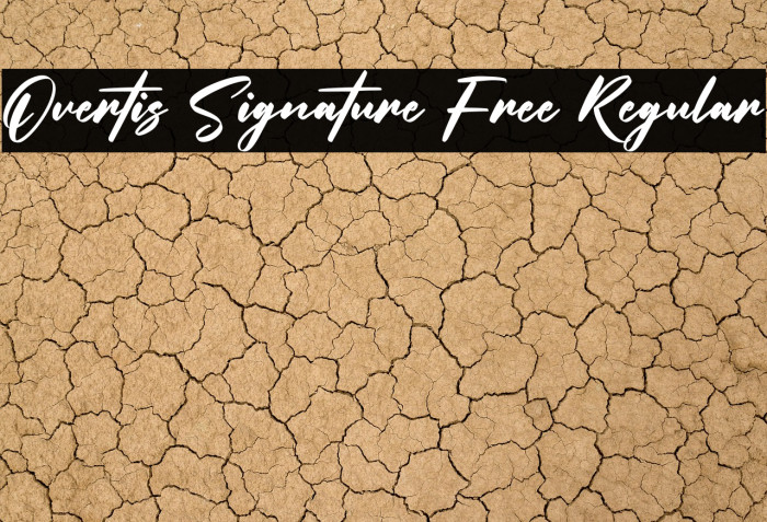 Overtis Signature Free Regular Example 2