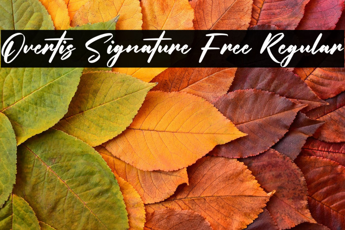 Overtis Signature Free Regular Example 3