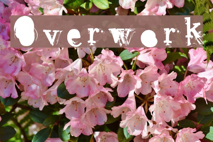 Overwork Font examples