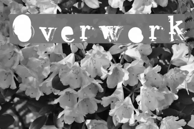 Overwork フォント examples