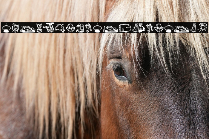 Ovniz_PersonalUseOnly Example 3