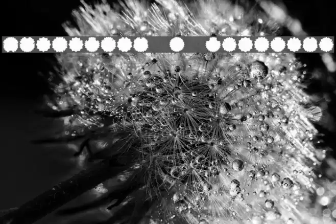 Ovulution I Membrane Font examples