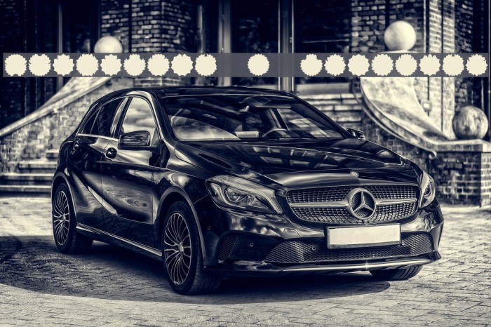 Ovulution I Membrane Example 3