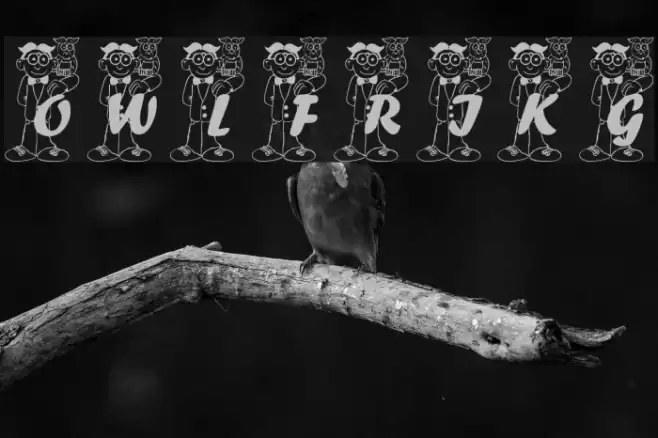 OWLFRI_KG Font examples