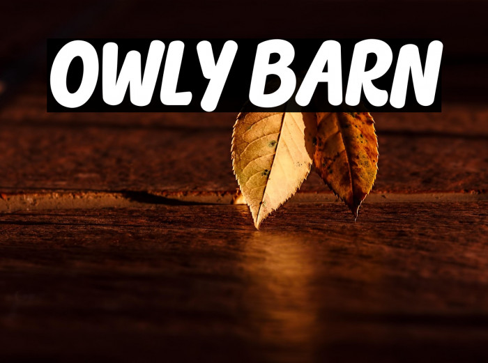 OWLY BARN Example 2