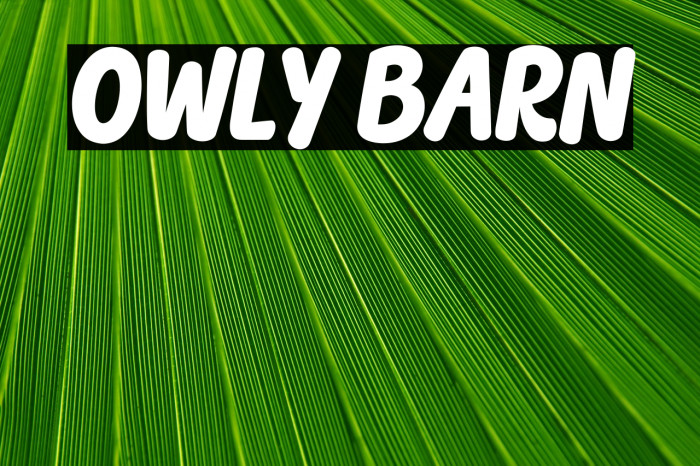 OWLY BARN Example 3