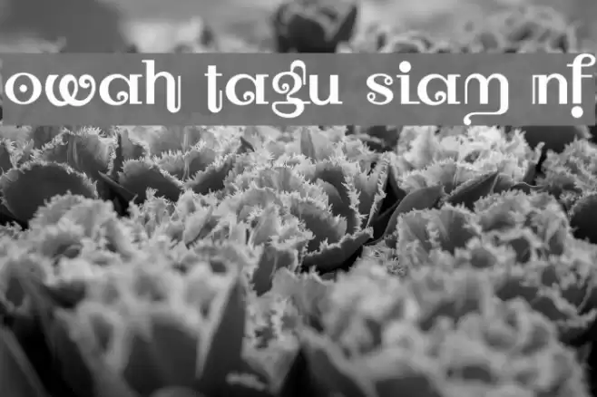 Owah Tagu Siam NF Font examples