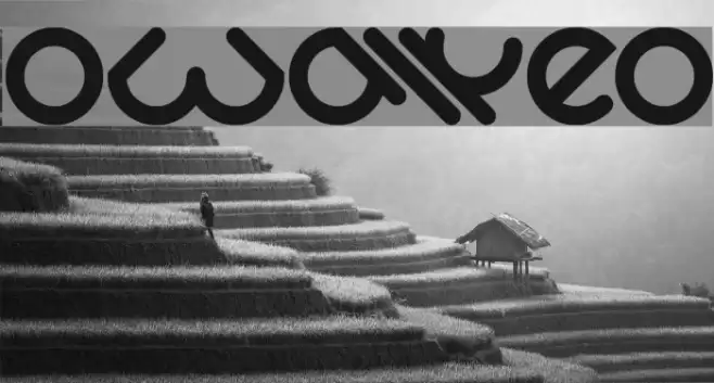 OwaikeO Font examples