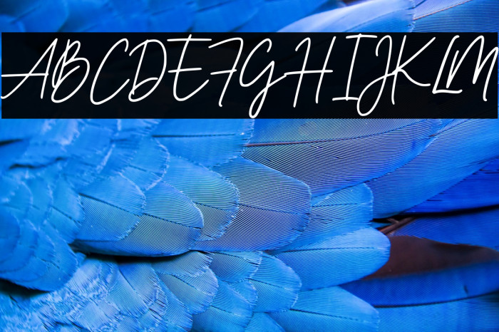 Owbeirak Script Demo Version Example 3